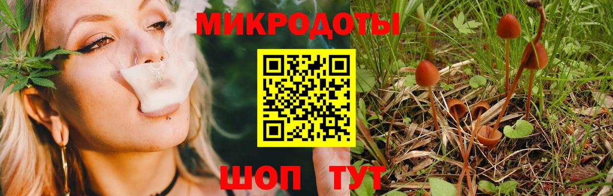 Псилоцибиновые грибы мухоморы  Вход с VPN  Борзя 